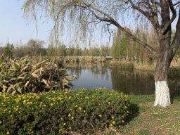James Michael Carter